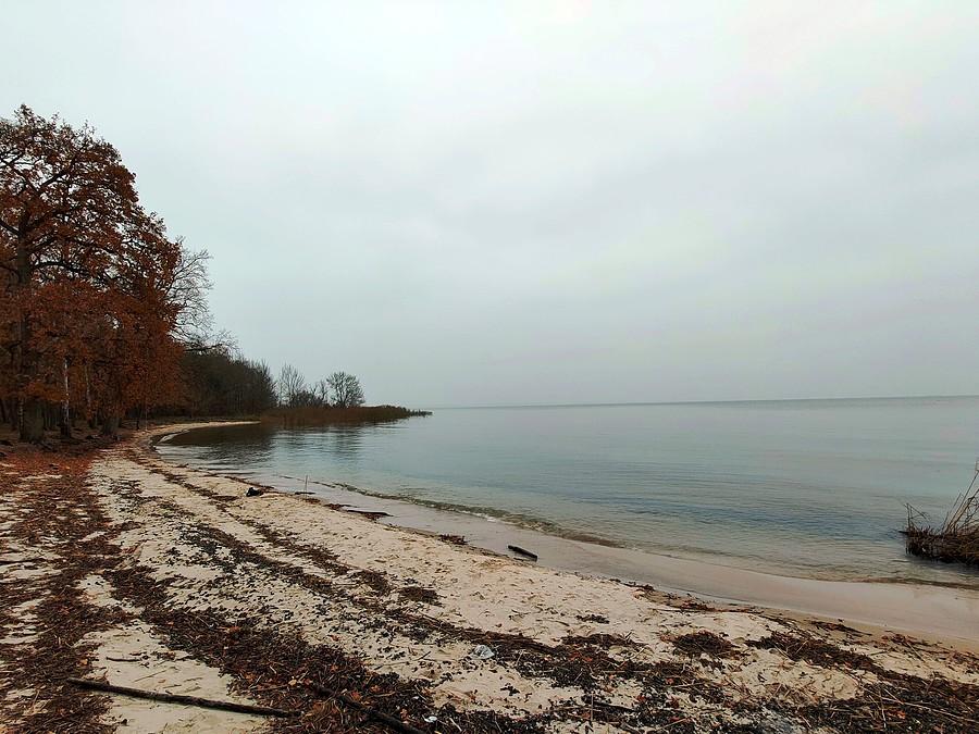 Plaża w Czarnocinie
