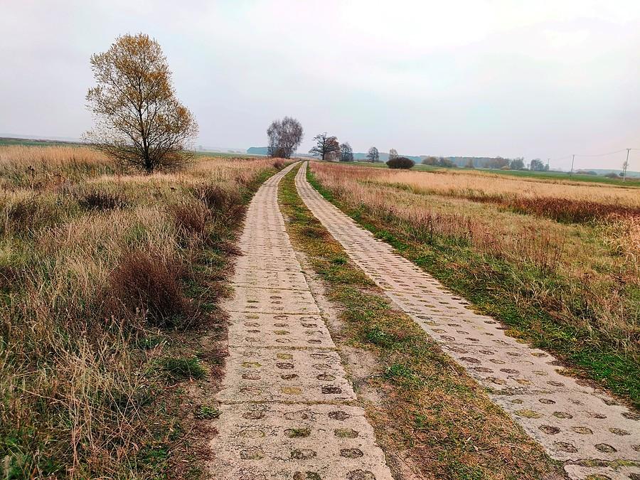 Dojazd do Borzysławieca