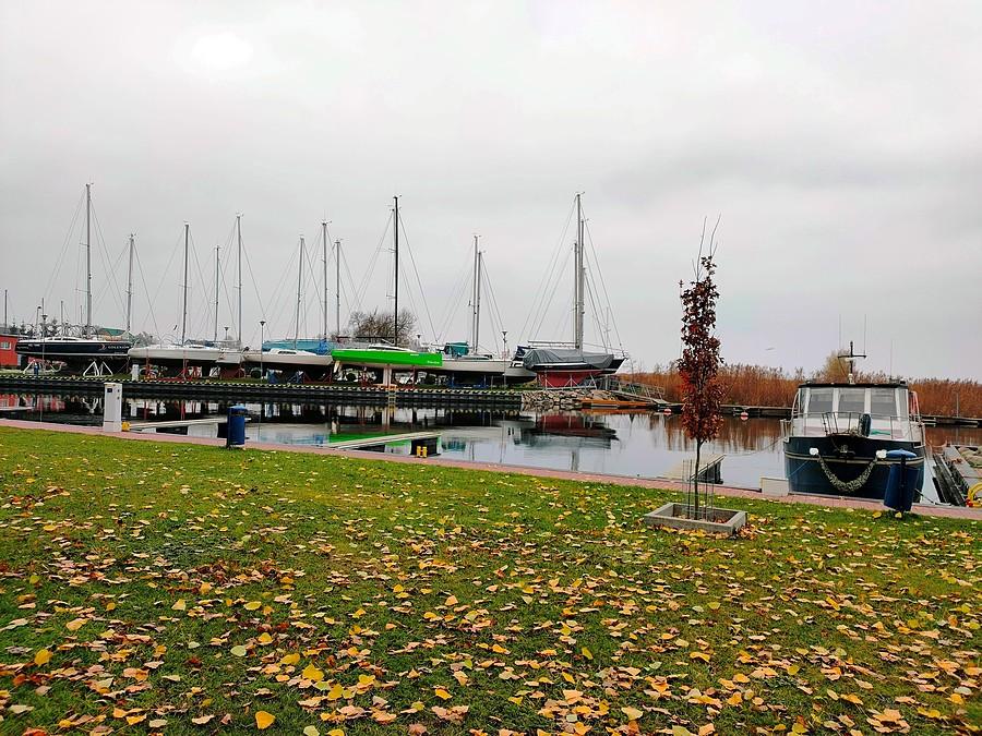 Port w Lubczynie