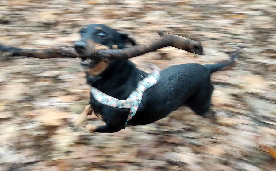 Piorun w pędzie!
