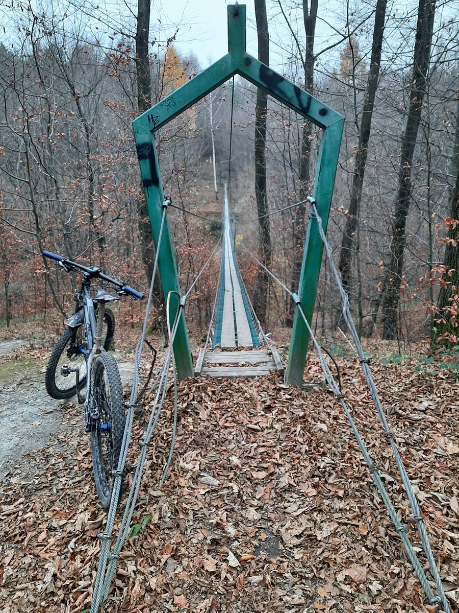 Nad Kukułkowym Potokiem.