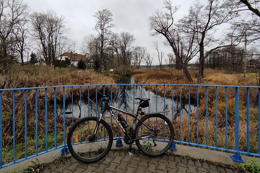 Pochmurna pauza w Trzcielinie
