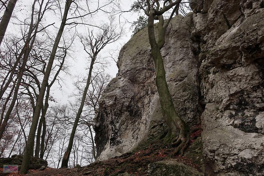 Skały na Sokolej Górze