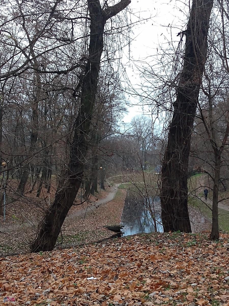 Fosa w parku na Forcie Bema