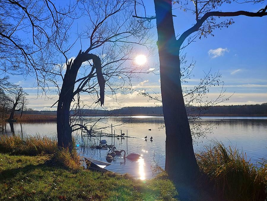 Jezioro Lusowskie w pigułce