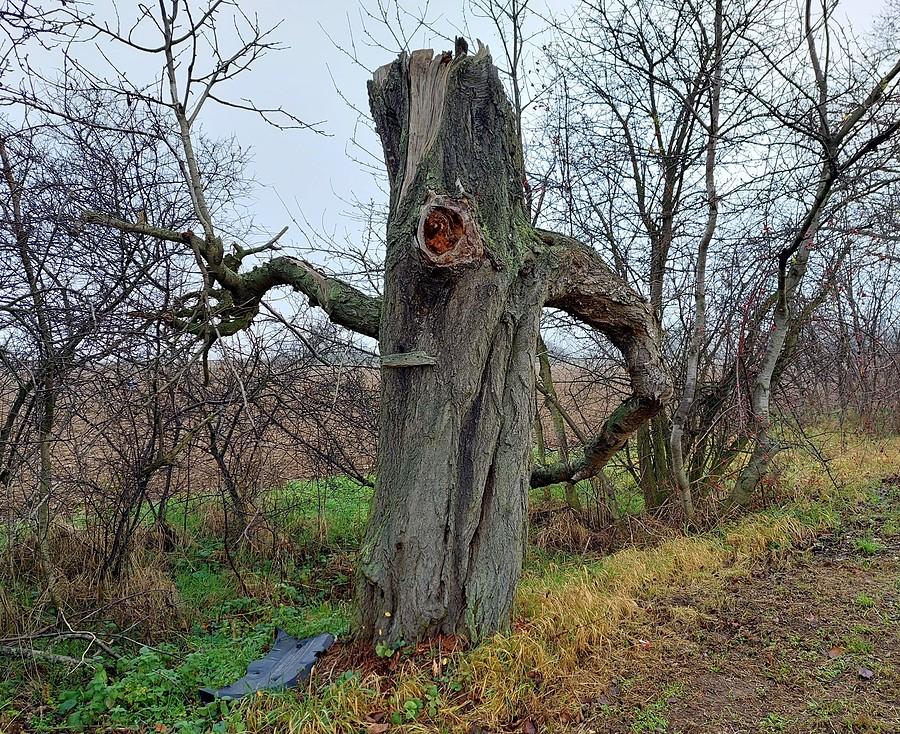Tańczący cyklop :)