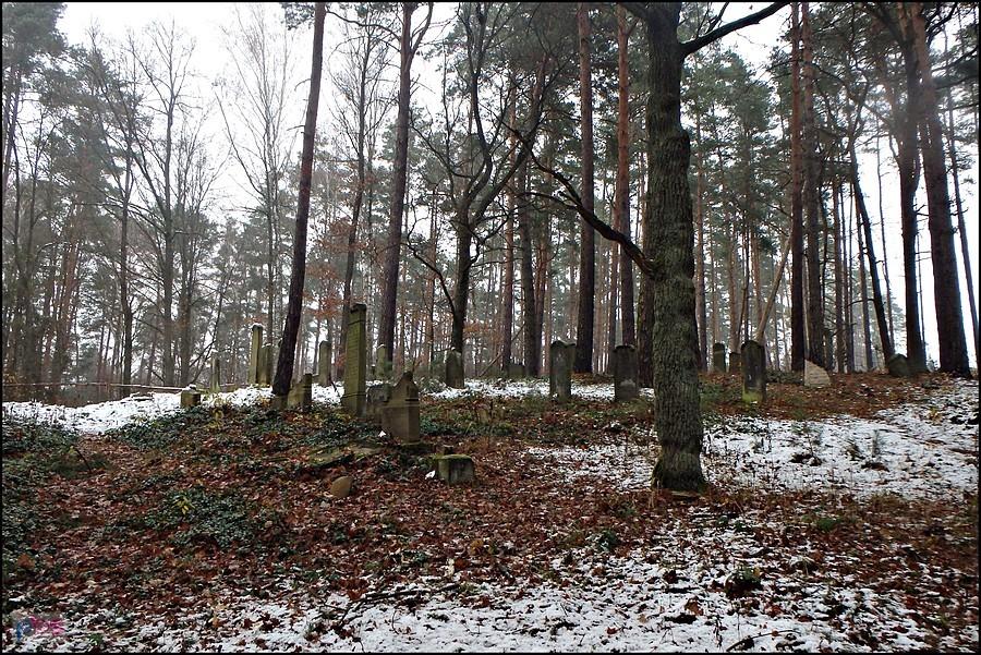 Stary kirkut (cmentarz żydowski) niedaleko Miłocic