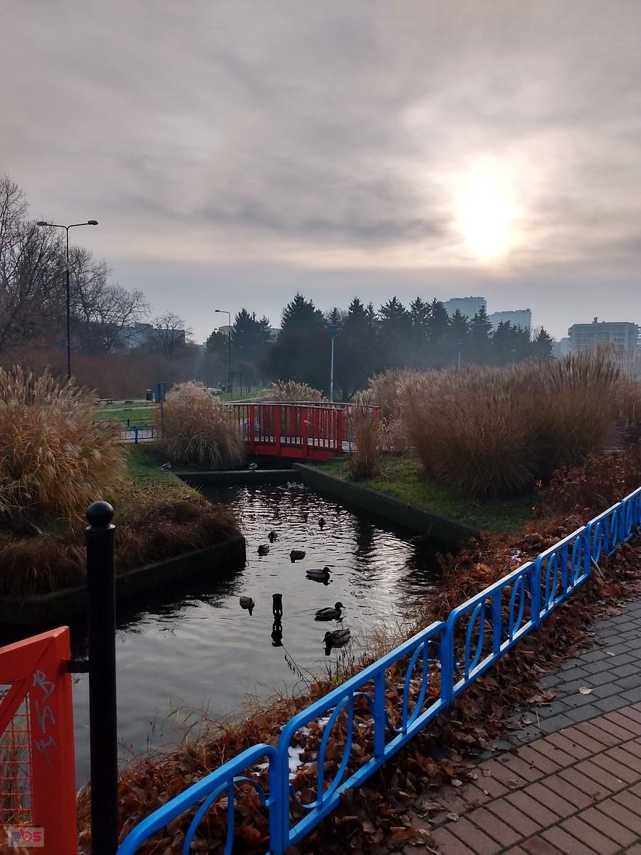 W parku Szymańskiego