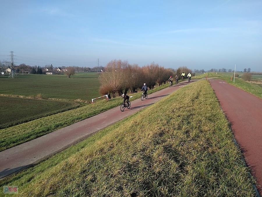 Rowerzyści na Wiślanej Trasie Rowerowej