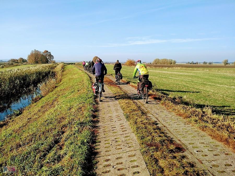 Grupa rowerzystów na wiejskiej drodze