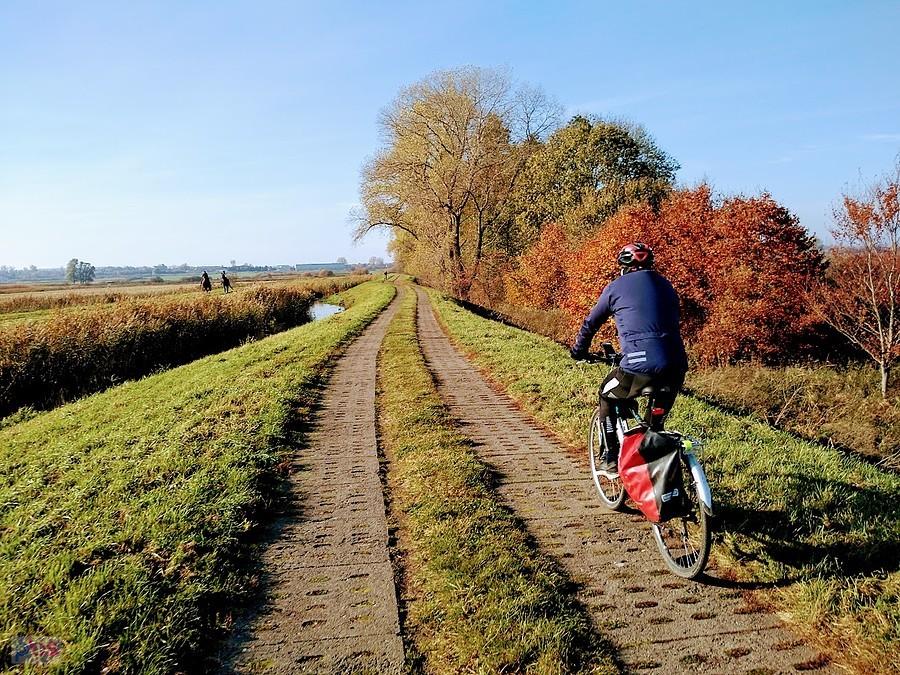 Rowerzysta na wiejskiej drodze jesienią