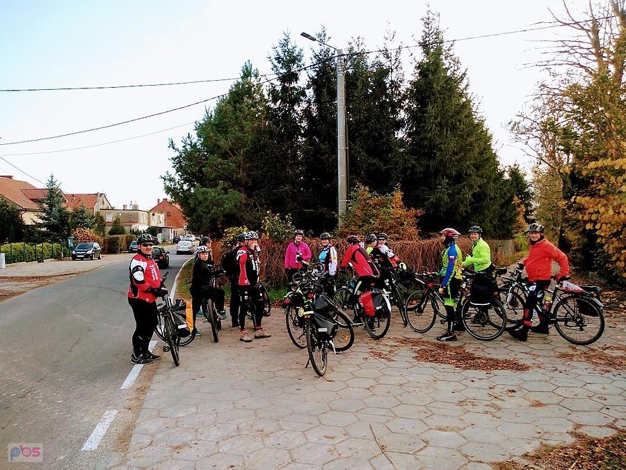 Grupa rowerzystów na ulicy