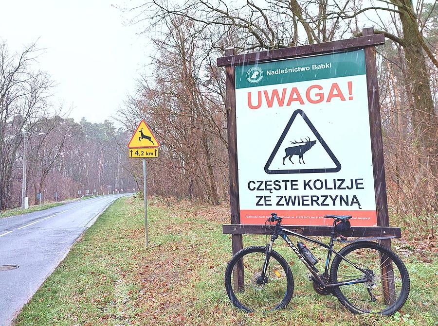 Las wycięty, ostrzeżenie pozostało