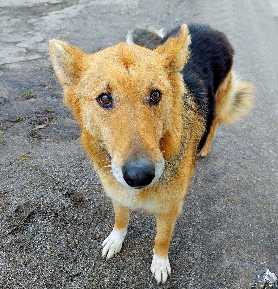 Pysio lekko jeszcze niepewne :)