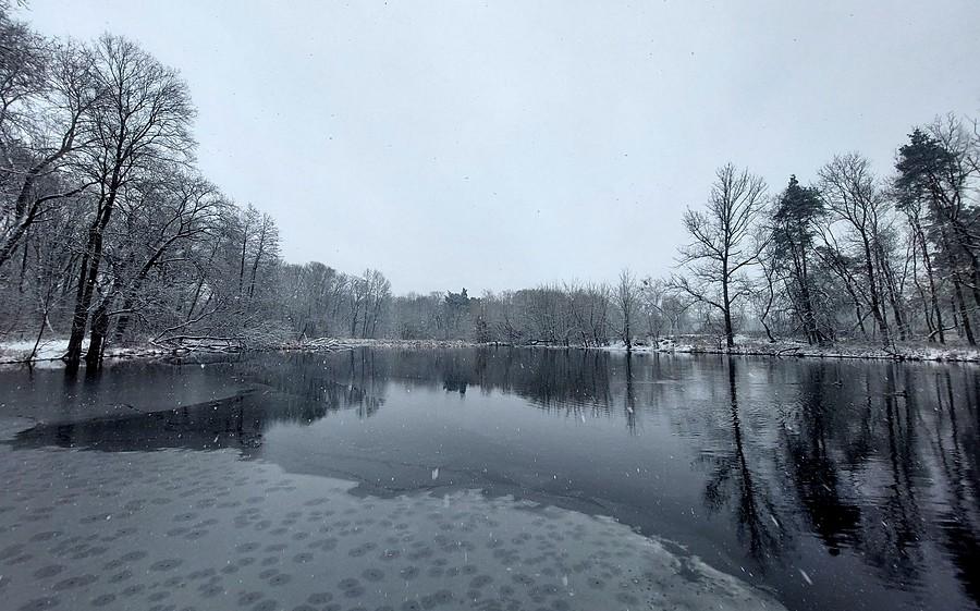 Zimowy Staw Słoneczny, poznańska Dębina