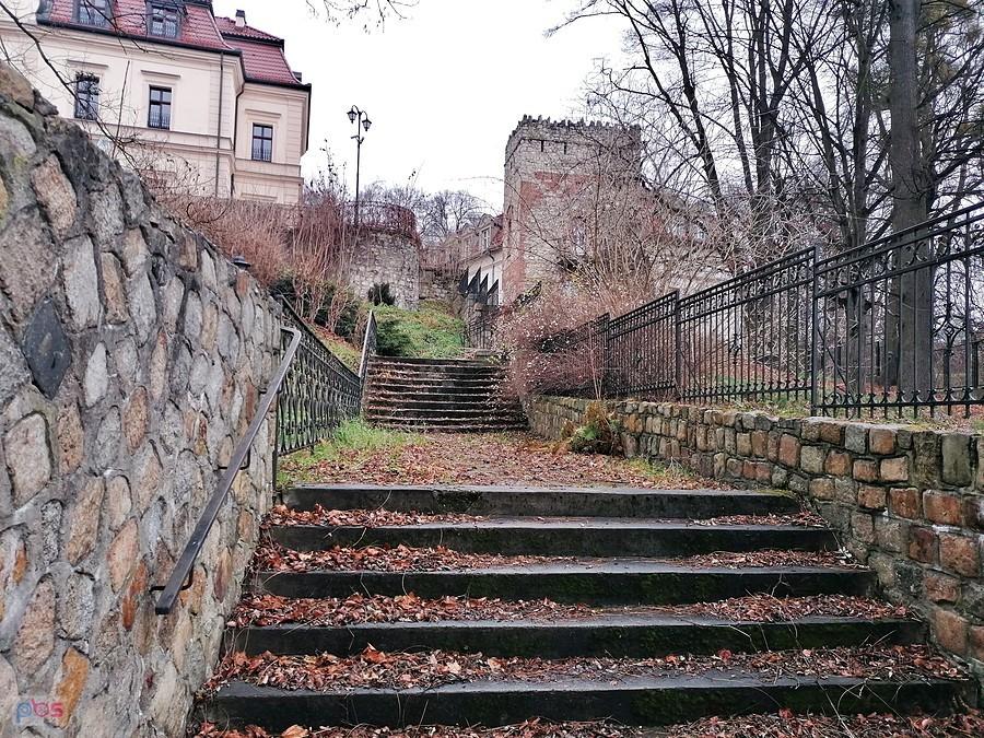 Do Mysiej Wieży