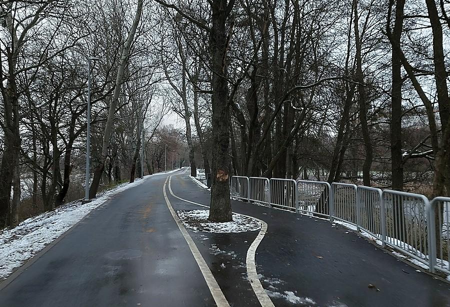 Szacun za pozostawienie drzewka na wyremontowanym odcinku Wartostrady