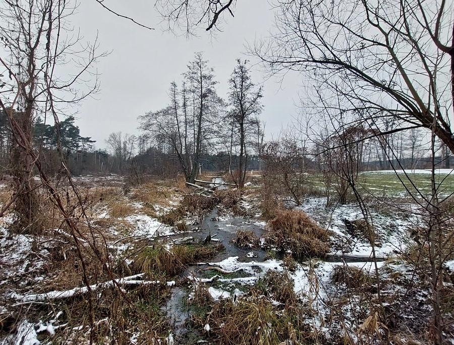 Smętny, ale na żywo nawet kojący widok