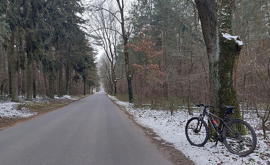Droga w okolicach poznańskiego Sypniewa
