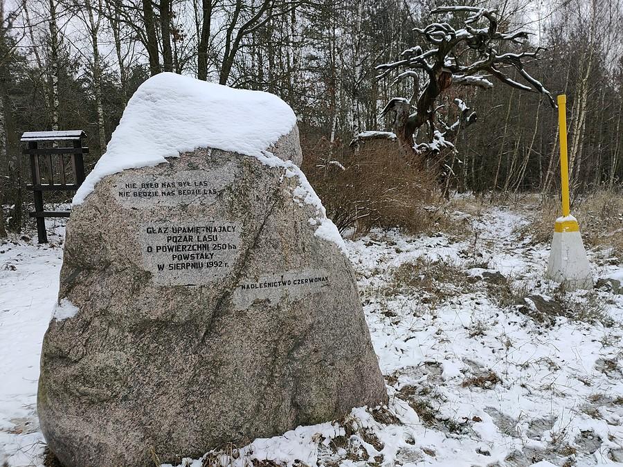 Głaz i sosna upamiętnijące pożar w 1992 roku
