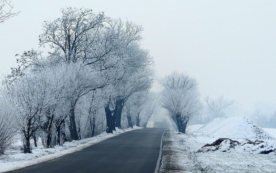Droga między Konarzewem a Trzcielinem