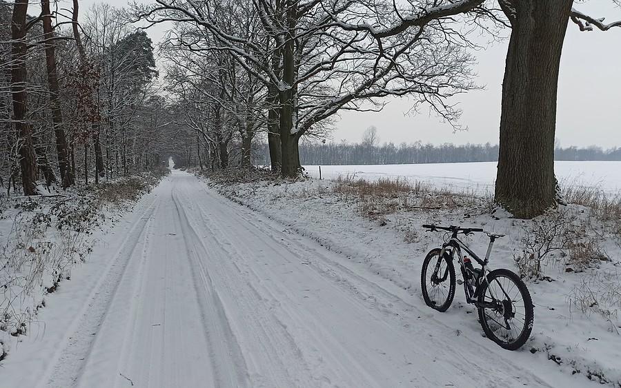 Typowa droga powrotna przez polno-leśne śnieżne bezkresy