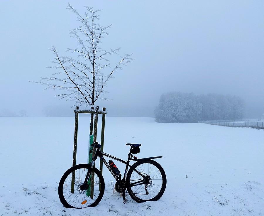 Pola w Lisówkach