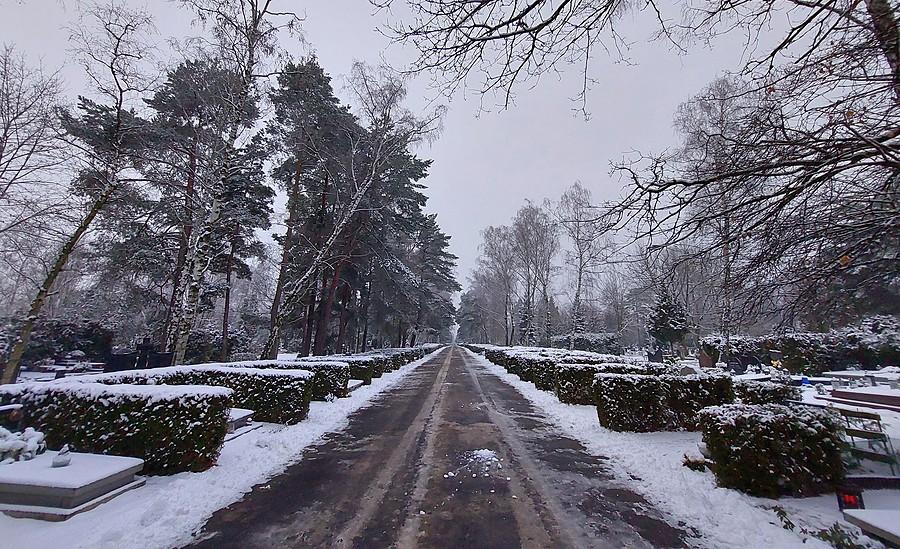 Zima na cmentarzu na Junikowie, Poznań