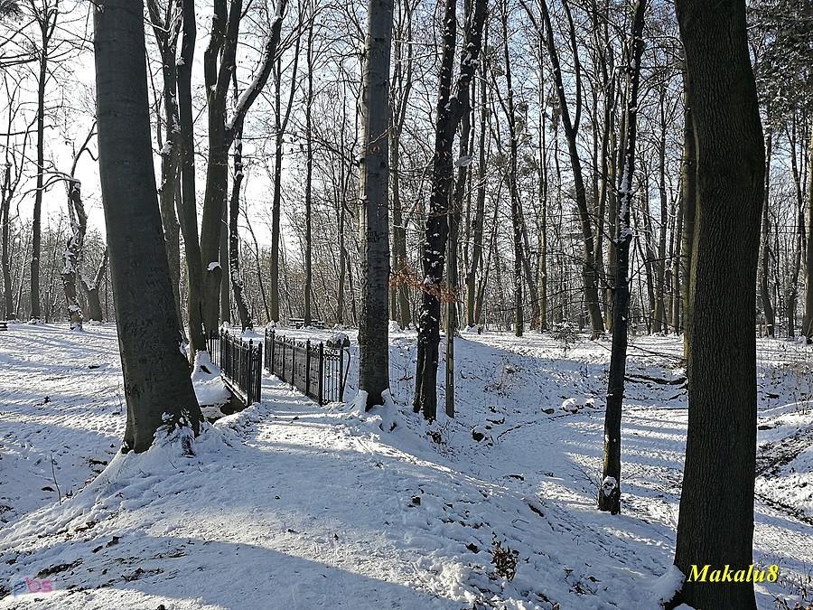 Park Ojców Kamilianów
