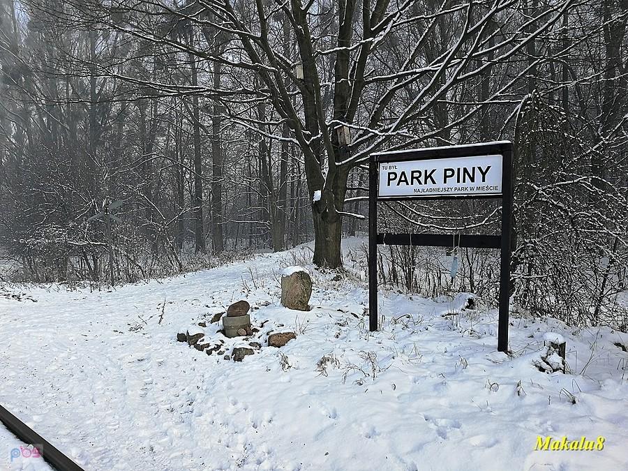 Park Piny