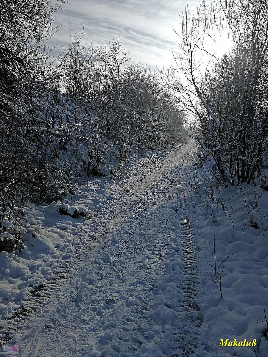 Po dawnych torach