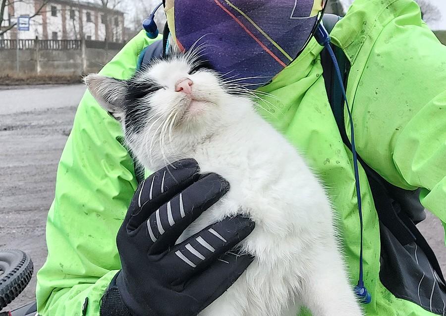 Dumny wiejski kot przytulony przez rowerzystę :)