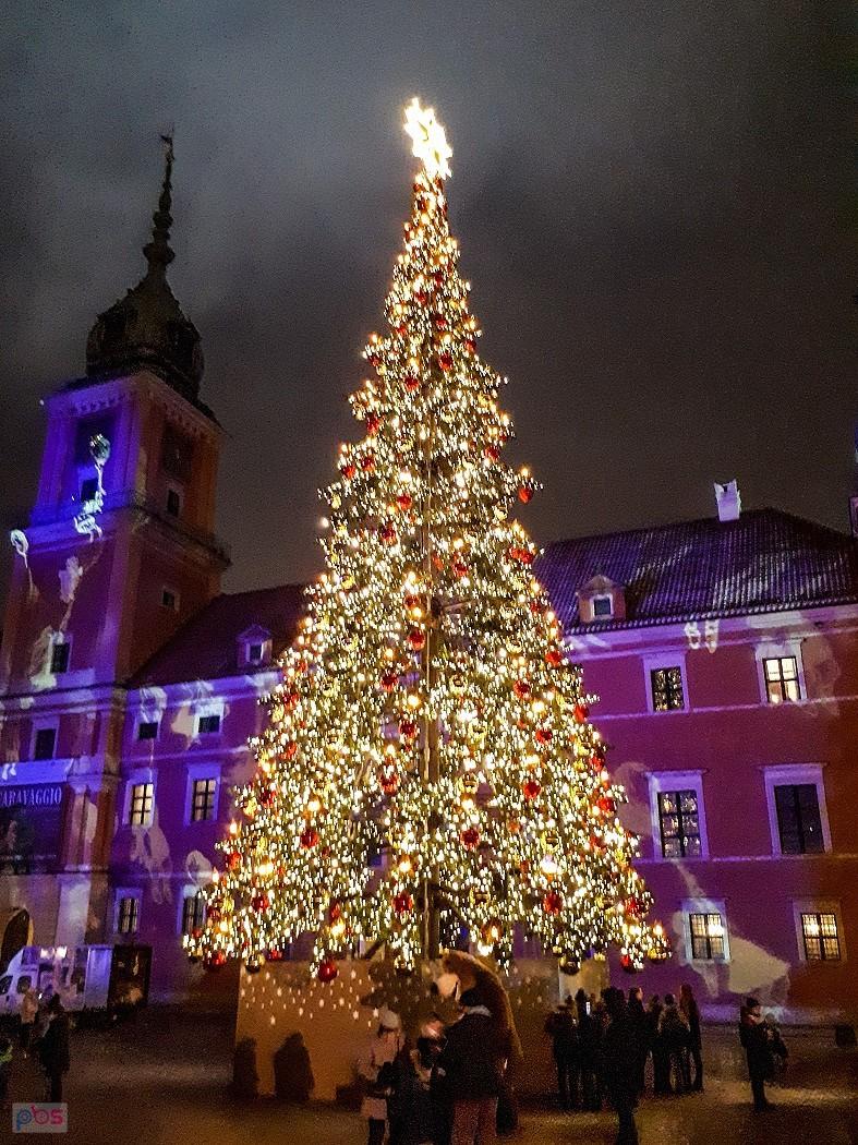 Choinka przed Zamkiem Królewskim