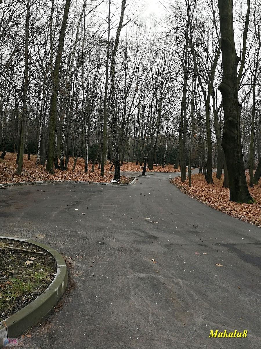 W parku przybyło nowych asfaltów.