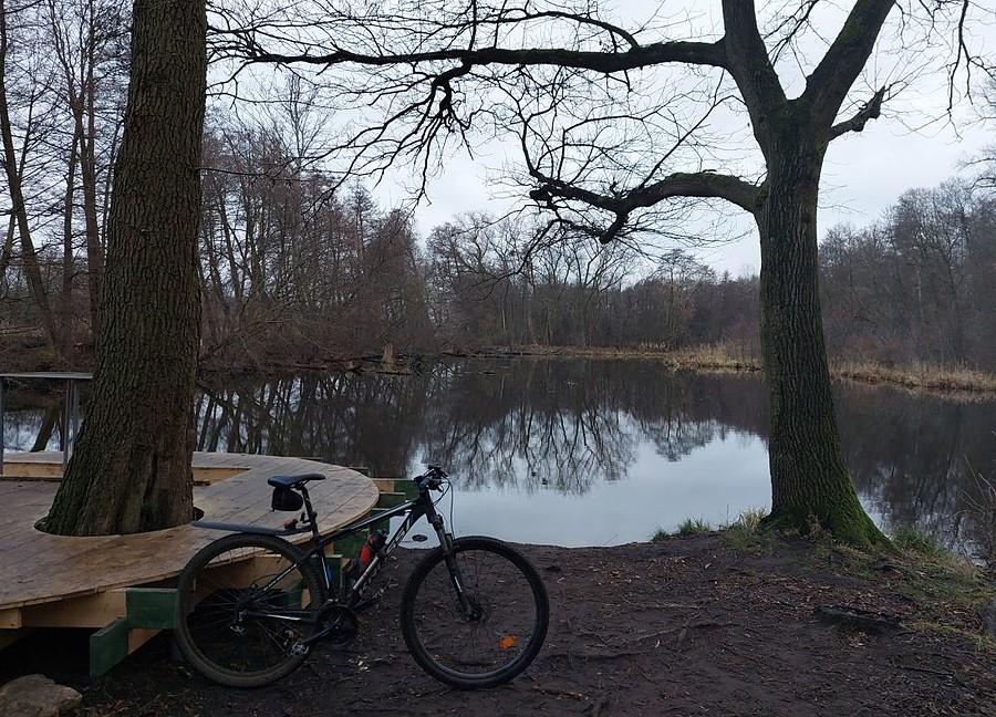Pochmurna poranna Dębina