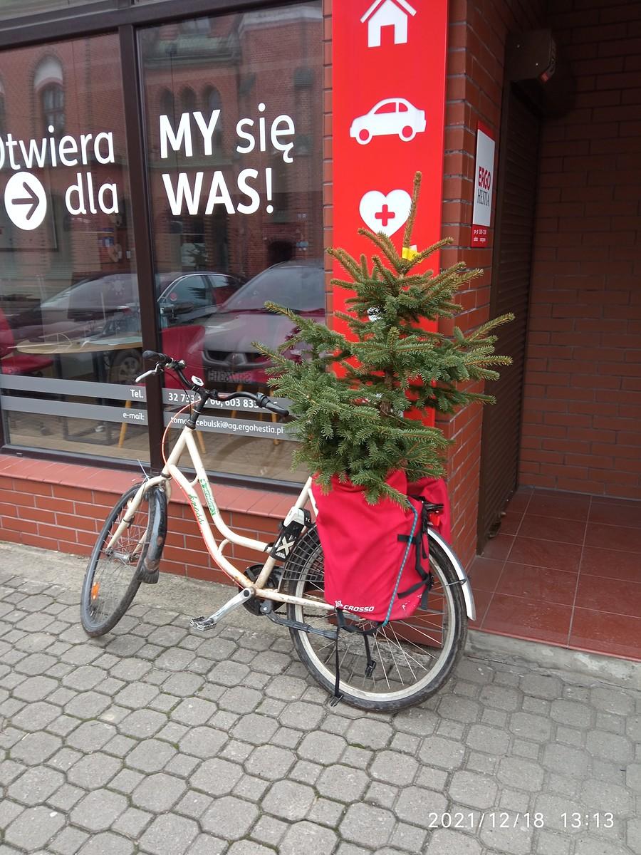 choinka dojechała do biura