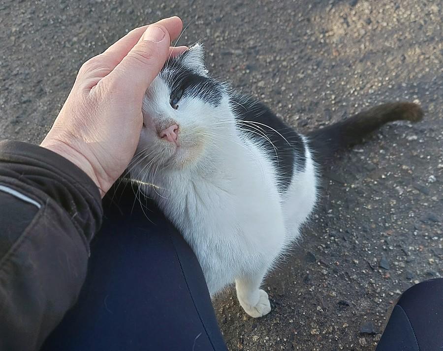 Sama rozkosz :)