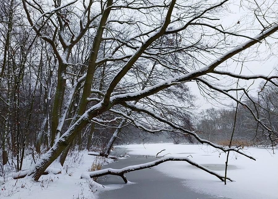 Poranek na poznańskiej Dębinie