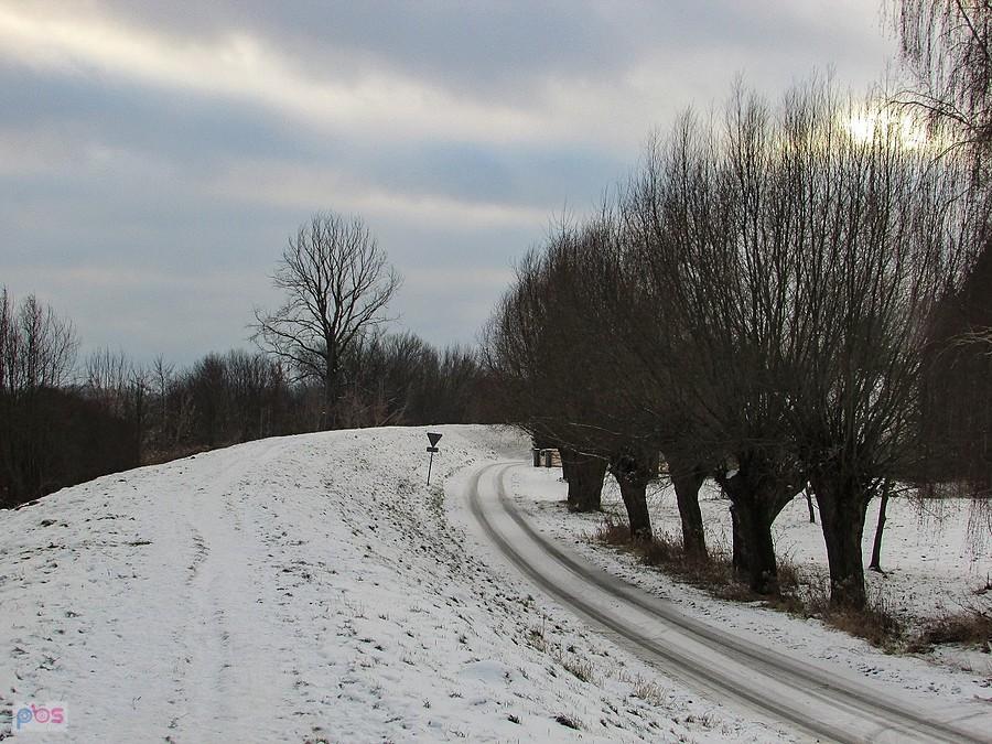 Na wale wiślanym w Gassach