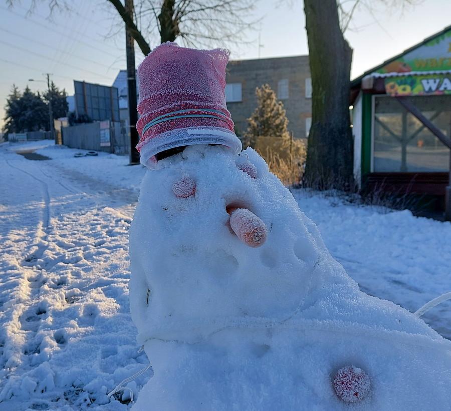 Kolega dzisiaj w kasku :)