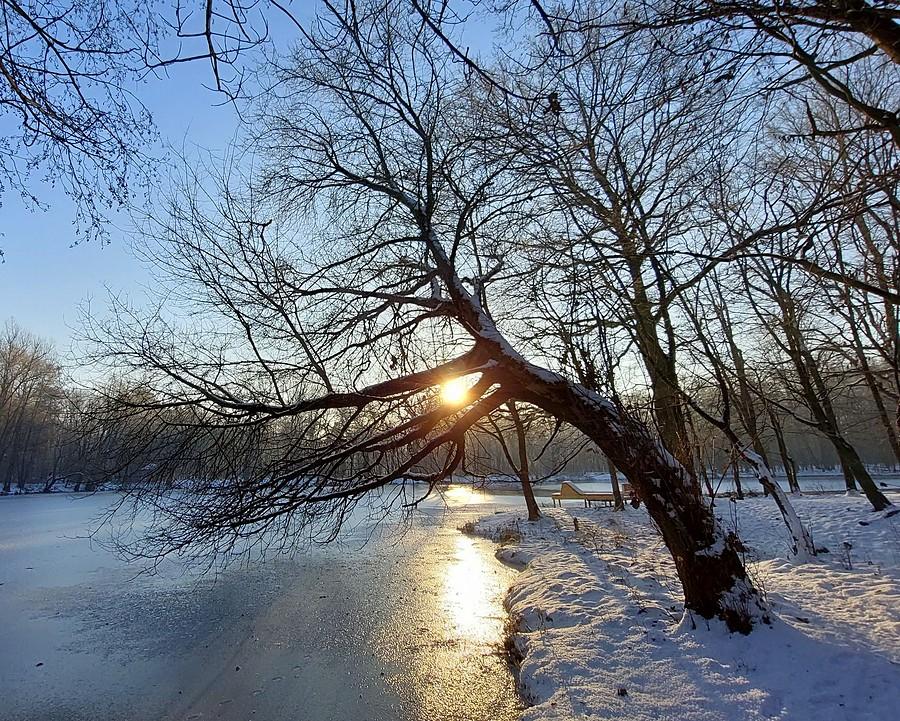 Na poznańskiej Dębinie wciąż piękny mróz