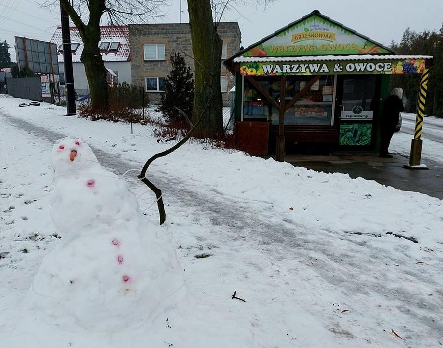 Bałwanek i warzywniak, skąd miał marchewkę i rzodkiewki