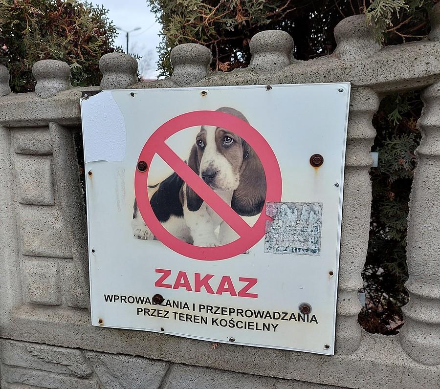 Katolicyzm pełnym pyskiem :/