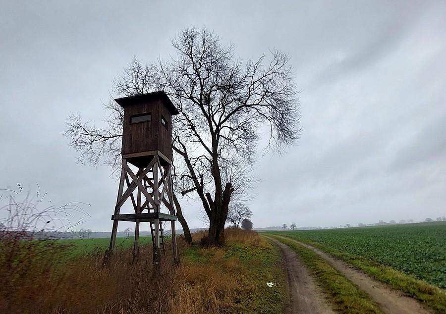 Pola w Lisówkach