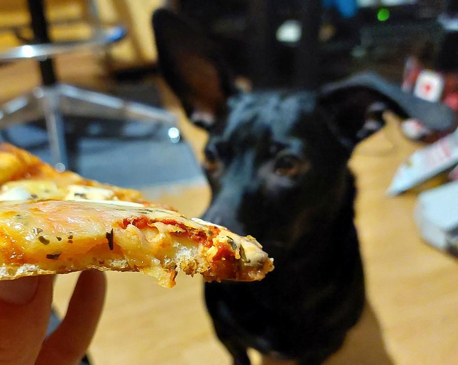 Sylwester marzeń w oczach Kropy :)