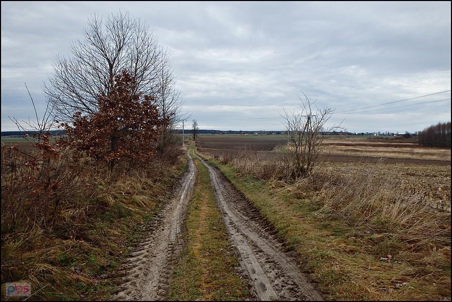 Powrót polami