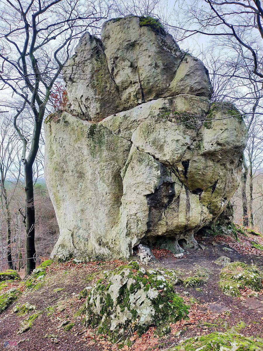 Sokole Góry - Skałka Adeptów