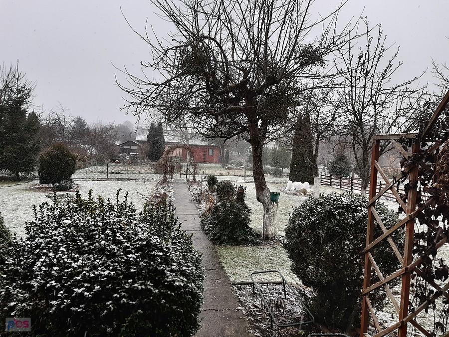 Działka Dareckiego