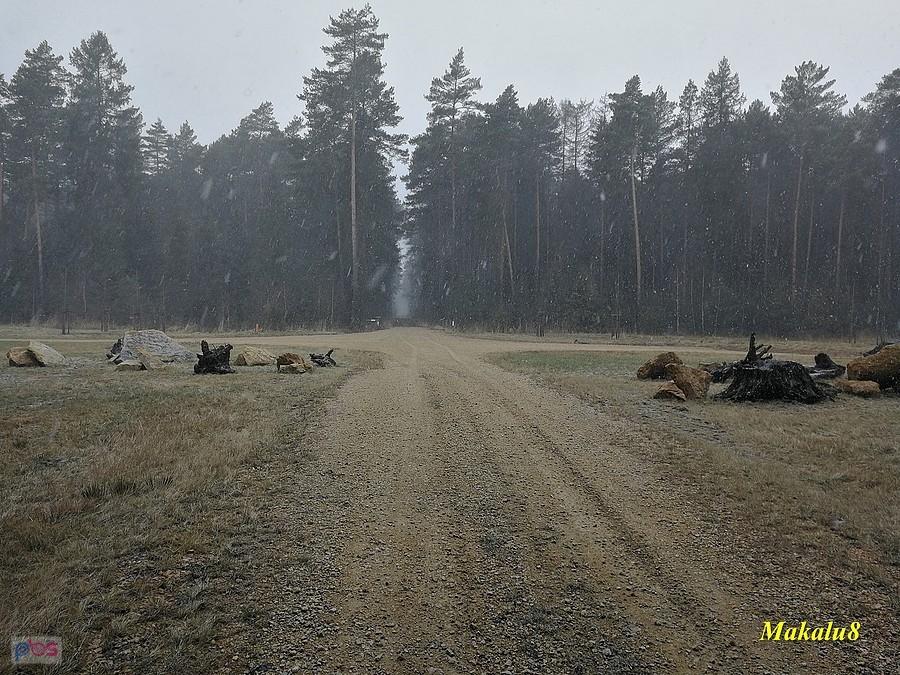 Śnieżyca koło Bibieli