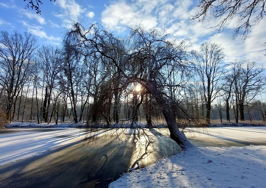 Staw Borusa, Dębina, Poznań